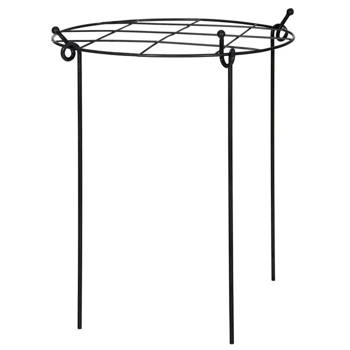 Charlbury Grow Through Plant Support – Large